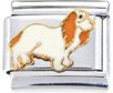 Cocker Spaniel Italian Charm