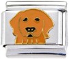 Golden Retriever Italian Charm