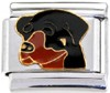 Rottweiler Italian Charm